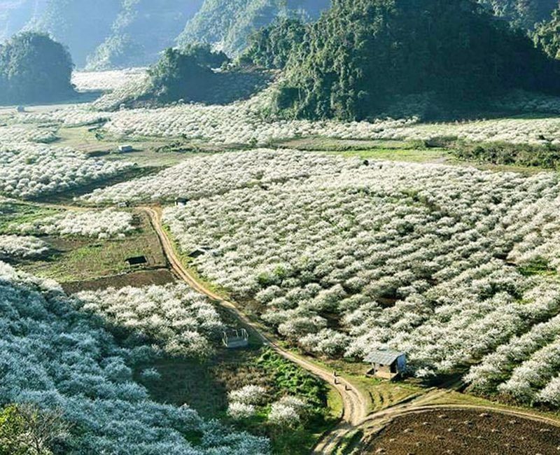 Mạng bán tour du lịch trực tuyến hàng đầu tại Việt Nam | BenThanh Tourist Mạng bán tour du lịch trực tuyến hàng đầu tại Việt Nam | BenThanh Tourist