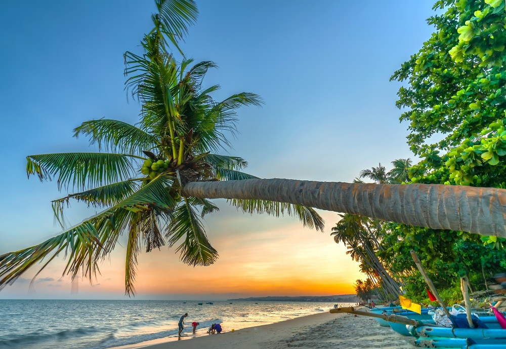 Mạng bán tour du lịch trực tuyến hàng đầu tại Việt Nam | BenThanh Tourist