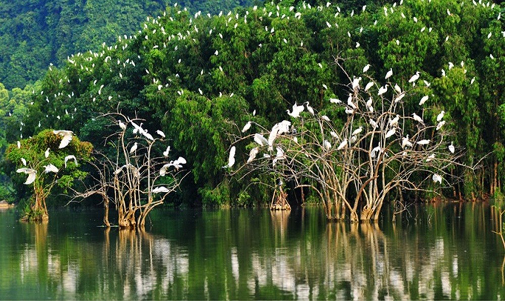 Mạng bán tour du lịch trực tuyến hàng đầu tại Việt Nam | BenThanh Tourist
