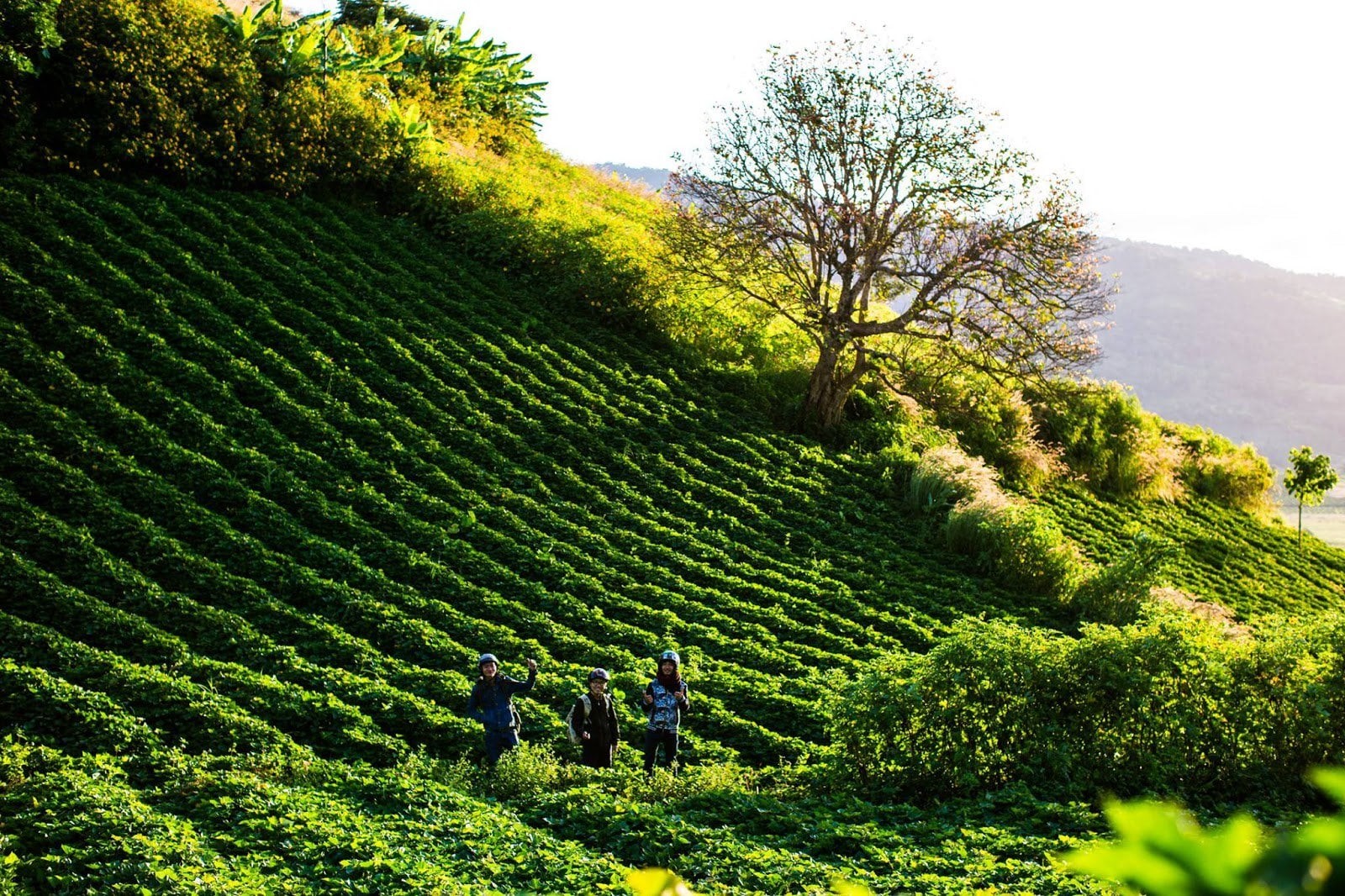 Mạng bán tour du lịch trực tuyến hàng đầu tại Việt Nam | BenThanh Tourist Mạng bán tour du lịch trực tuyến hàng đầu tại Việt Nam | BenThanh Tourist