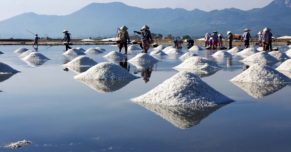 Mạng bán tour du lịch trực tuyến hàng đầu tại Việt Nam | BenThanh Tourist