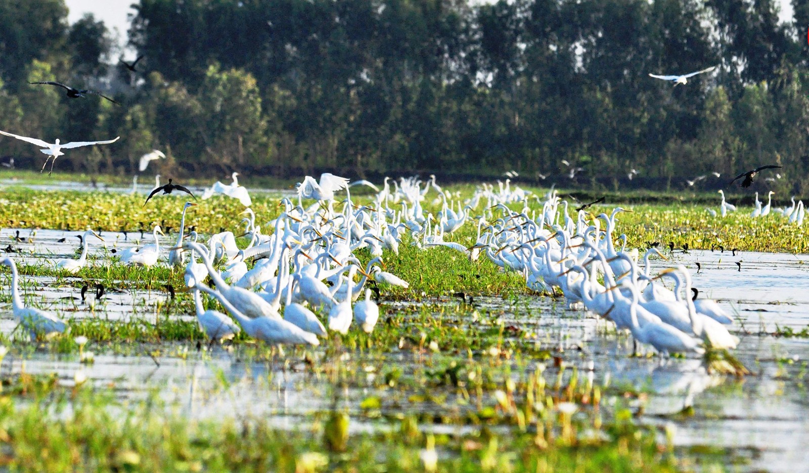 Mạng bán tour du lịch trực tuyến hàng đầu tại Việt Nam | BenThanh Tourist