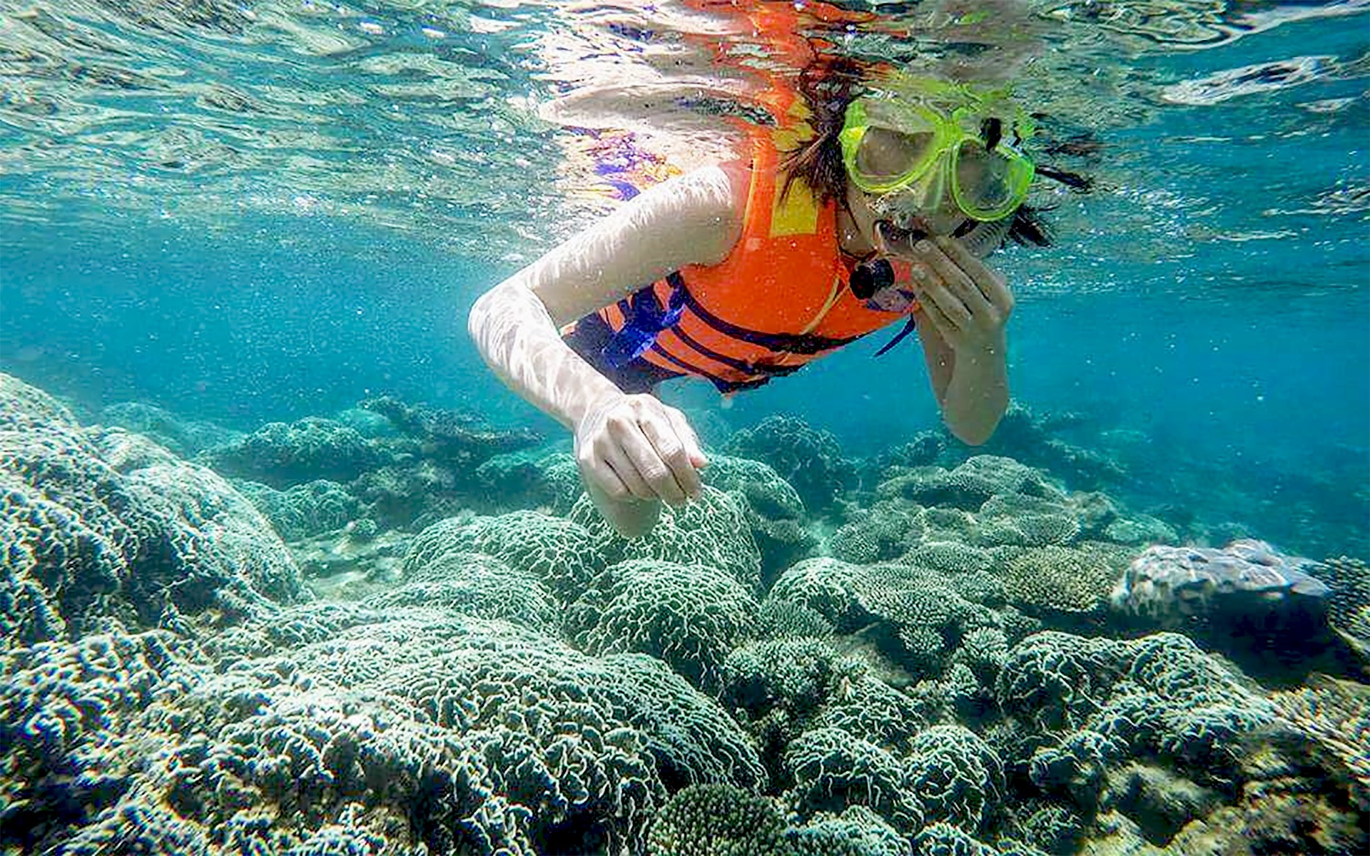 Mạng bán tour du lịch trực tuyến hàng đầu tại Việt Nam | BenThanh Tourist Mạng bán tour du lịch trực tuyến hàng đầu tại Việt Nam | BenThanh Tourist
