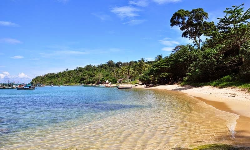 mui-ganh-dau mui-ganh-dau