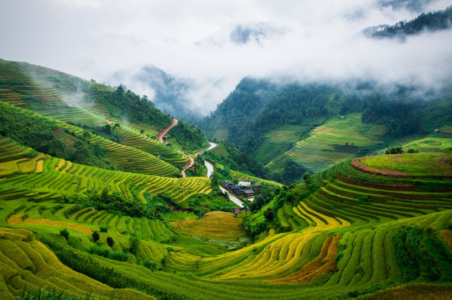 mu-cang-chai mu-cang-chai