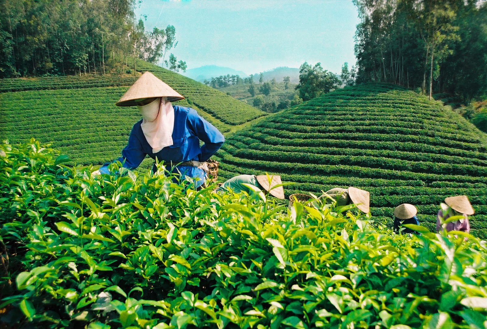 Mạng bán tour du lịch trực tuyến hàng đầu tại Việt Nam | BenThanh Tourist Mạng bán tour du lịch trực tuyến hàng đầu tại Việt Nam | BenThanh Tourist