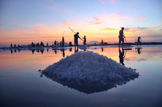 Mạng bán tour du lịch trực tuyến hàng đầu tại Việt Nam | BenThanh Tourist