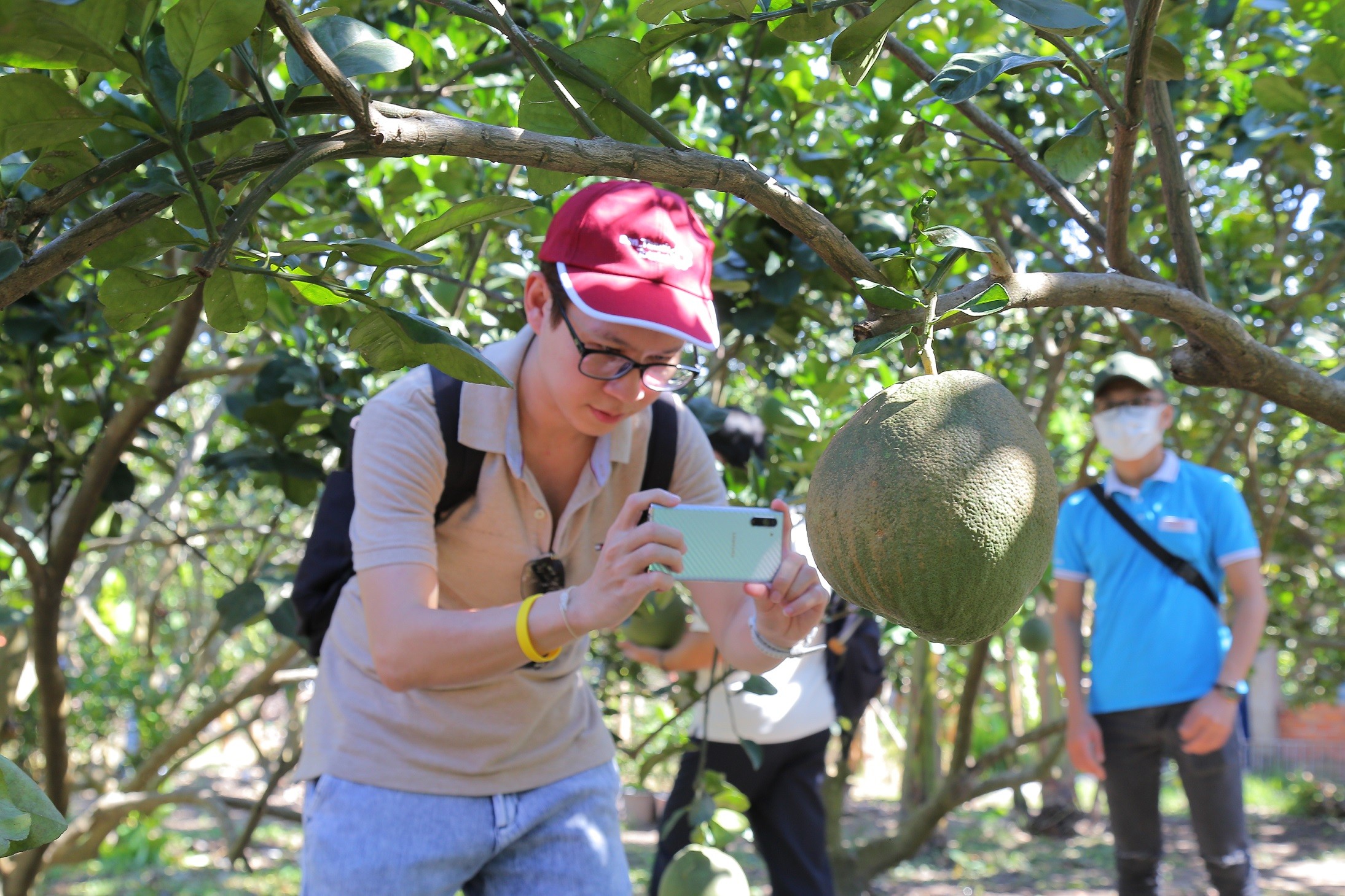 Mạng bán tour du lịch trực tuyến hàng đầu tại Việt Nam | BenThanh Tourist Mạng bán tour du lịch trực tuyến hàng đầu tại Việt Nam | BenThanh Tourist