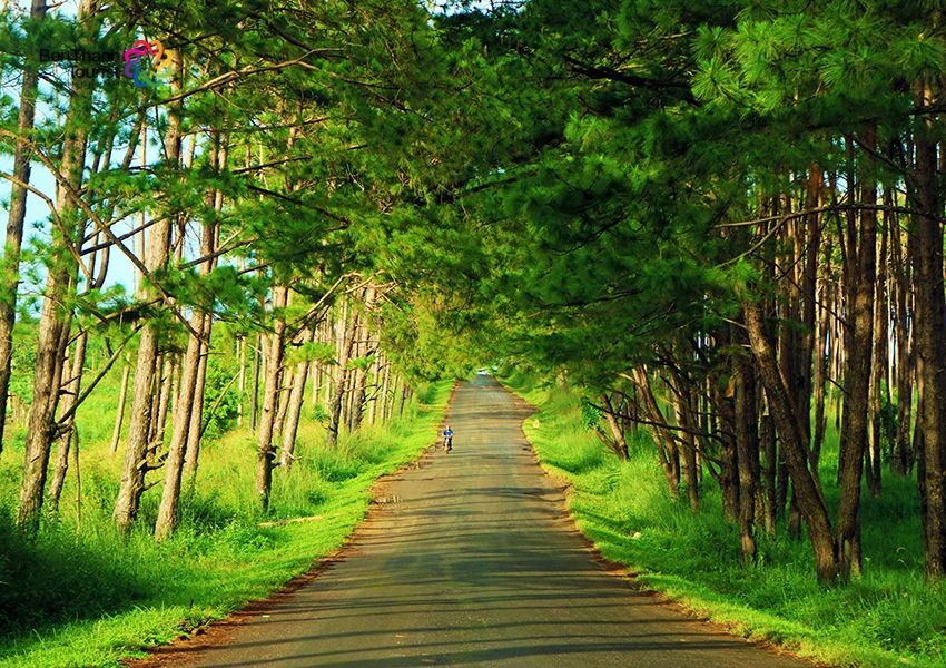 Mạng bán tour du lịch trực tuyến hàng đầu tại Việt Nam | BenThanh Tourist Mạng bán tour du lịch trực tuyến hàng đầu tại Việt Nam | BenThanh Tourist