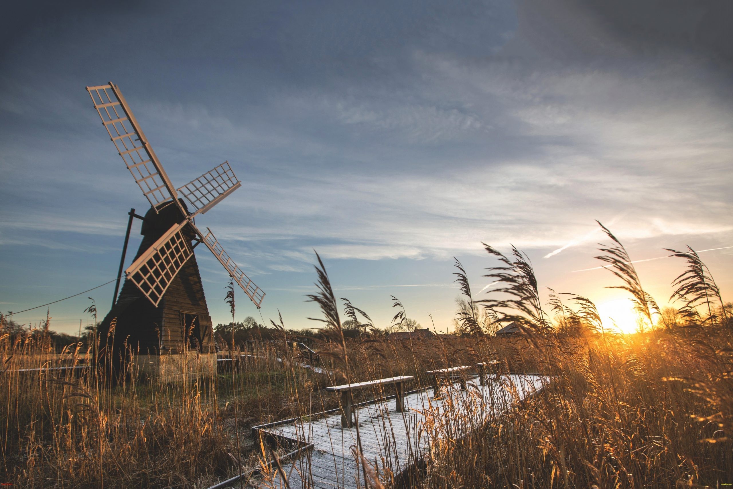 Wicken Fen