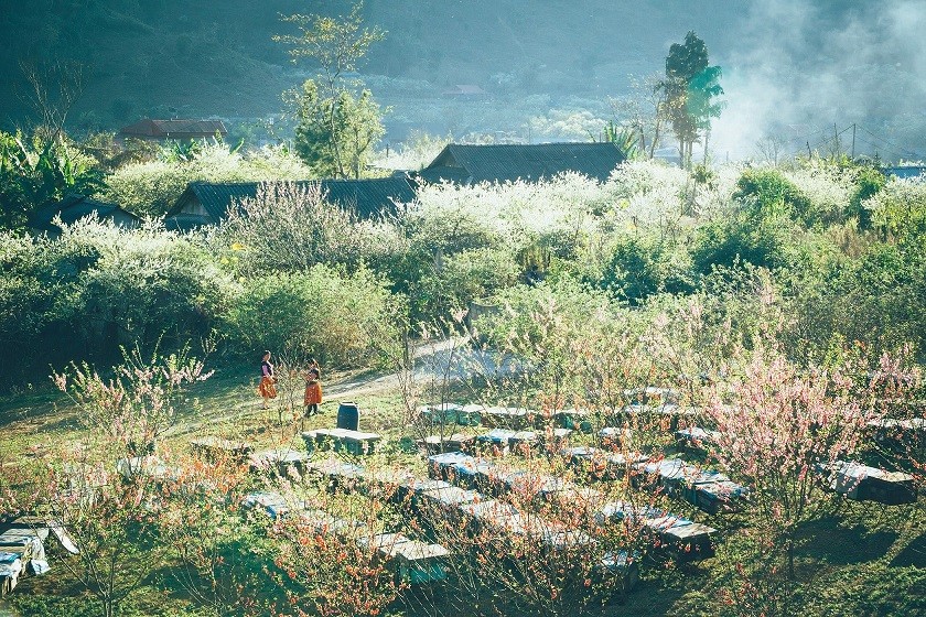 Mạng bán tour du lịch trực tuyến hàng đầu tại Việt Nam | BenThanh Tourist
