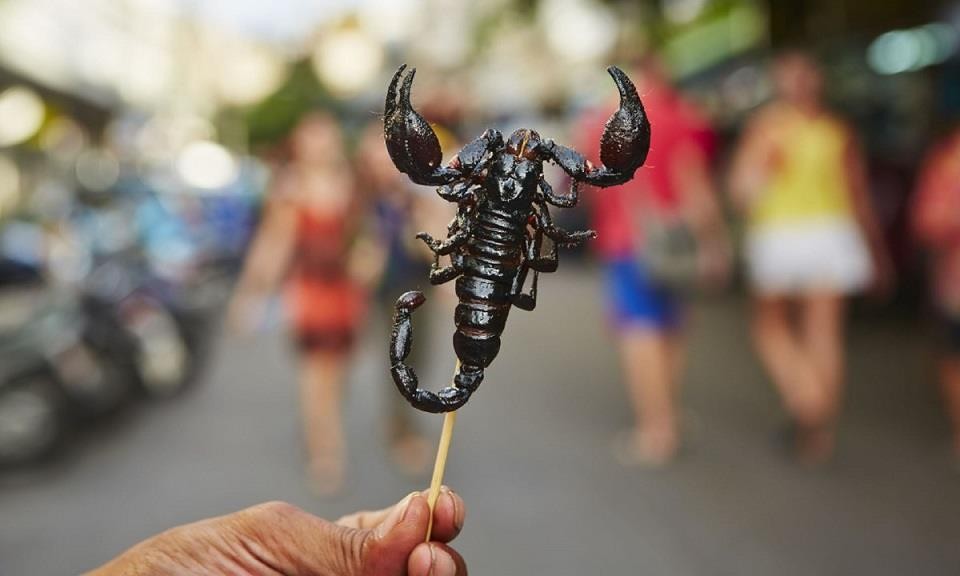 bọ cạp xiên que