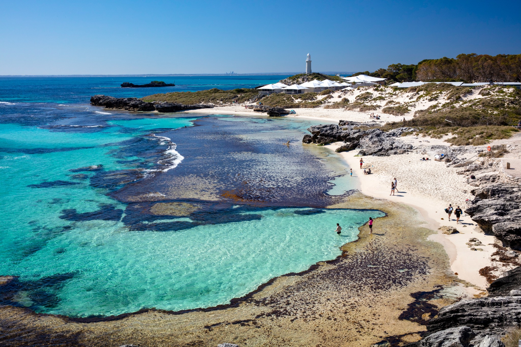 đảo Rottnest đảo Rottnest