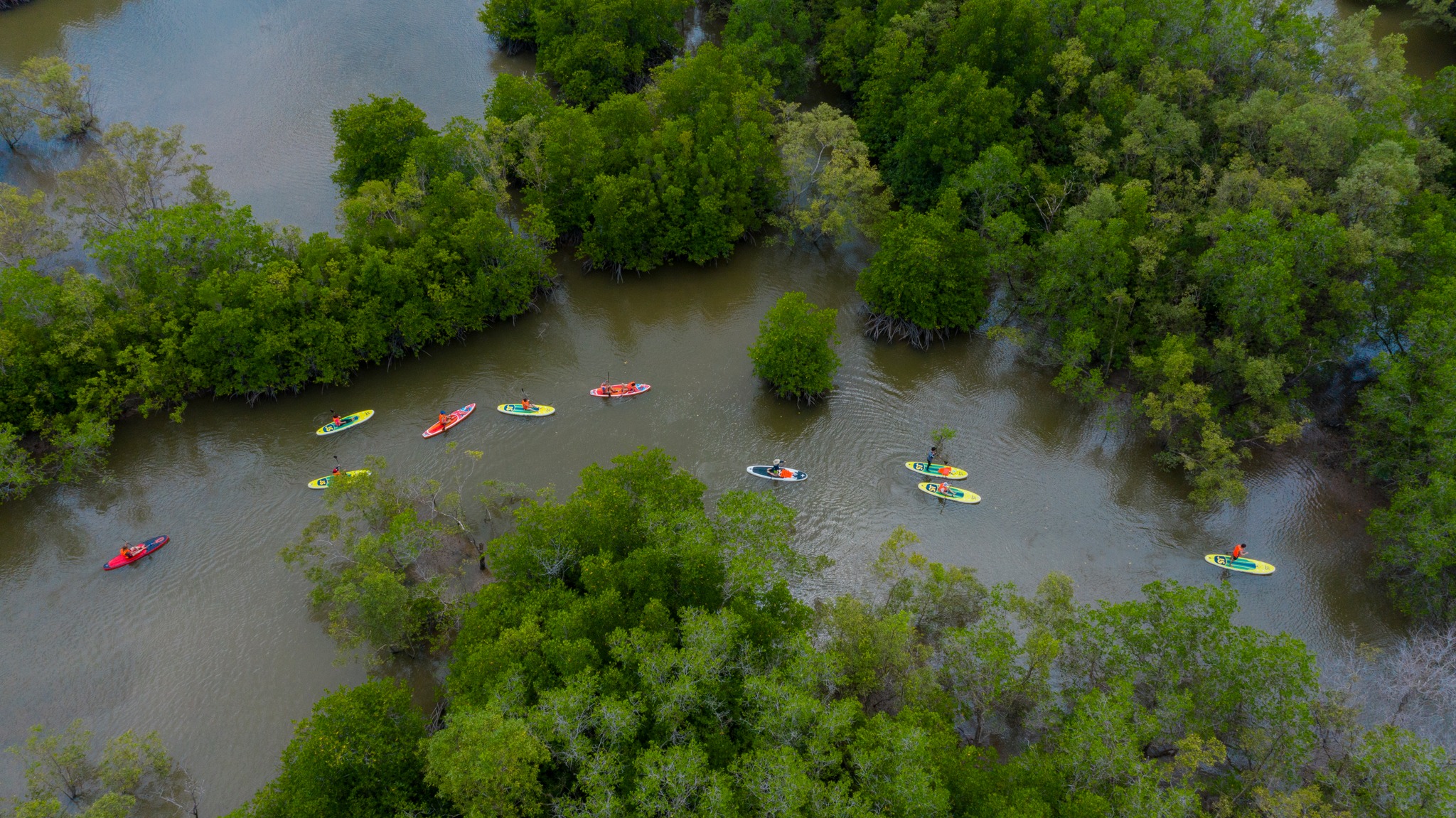 Tour cheo Sup Can Gio (3) Tour cheo Sup Can Gio (3)