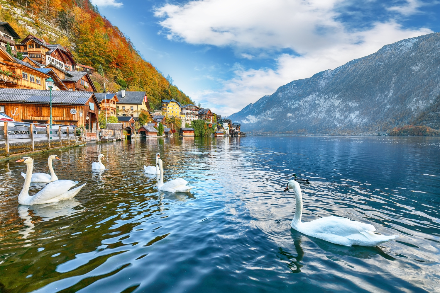 ho-hallstatt-1 ho-hallstatt-1